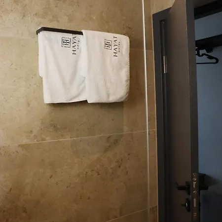 Hotel Hayat Sky Rust