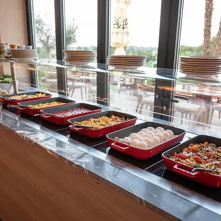 Hotel Hayat Sky Rust