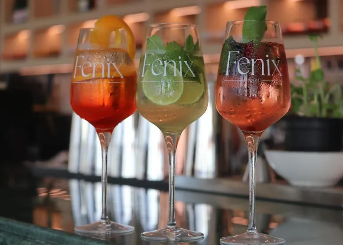 Hotel Hayat Sky Rust